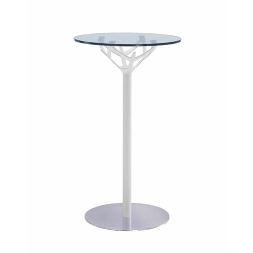 Cicerone Glass Caimi