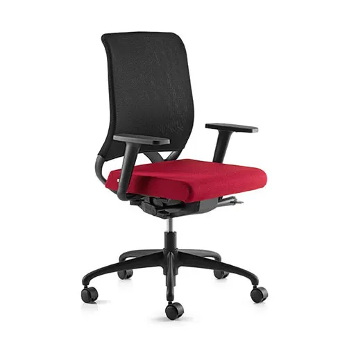 Ecochair Moving
