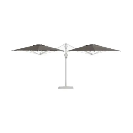 Dual T Starwhite Scolaro