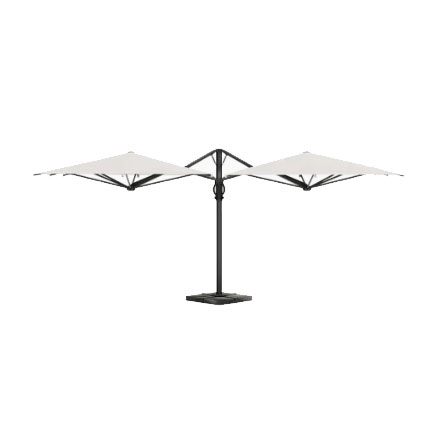 Dual V Carbon Scolaro