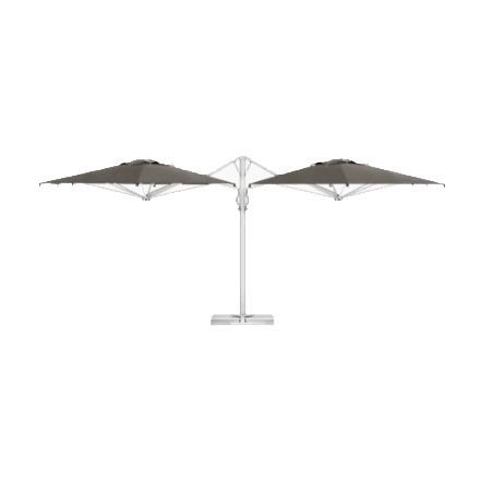 Dual V Starwhite Scolaro