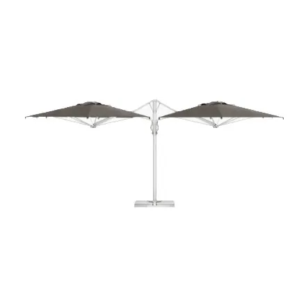 Dual V Starwhite Scolaro