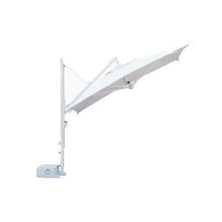 Galileo Starwhite Scolaro