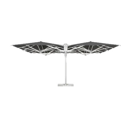 Quattro Starwhite Scolaro