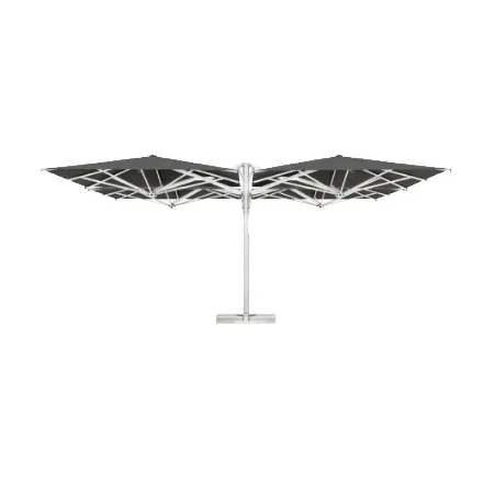 Quattro Starwhite Scolaro