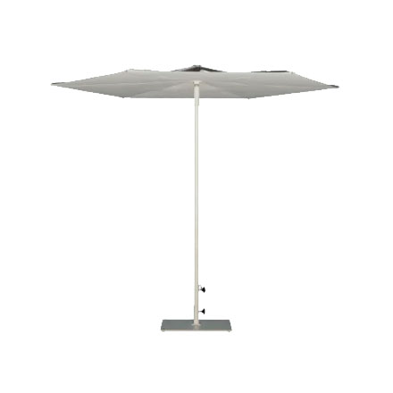 Revo Starwhite Scolaro