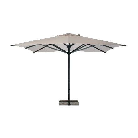 Verona Dark Scolaro