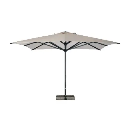 Verona Dark Scolaro