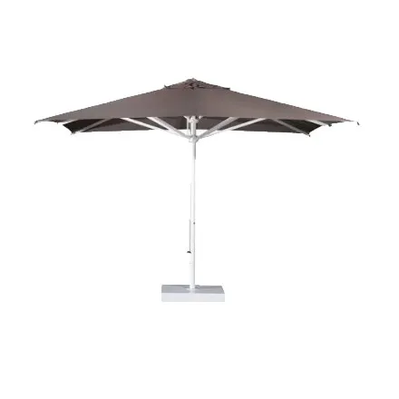 Verona Starwhite